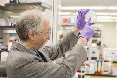 El avance hacia la vida artificial despert� gran inter�s en la comunidad cient�fica santiague�a
