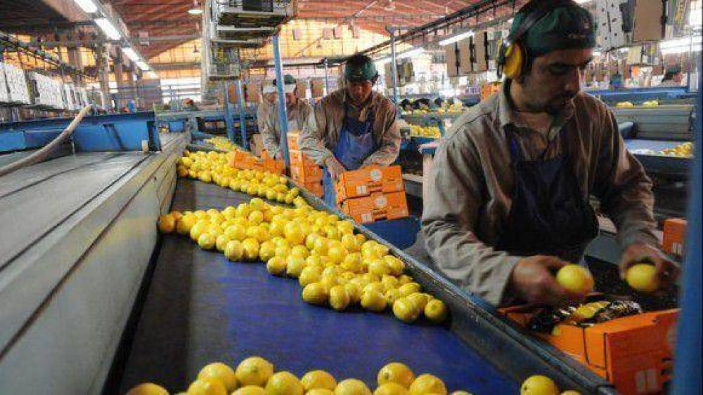 Destacan las inversiones productivas en la provincia