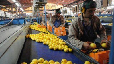 Destacan las inversiones productivas en la provincia