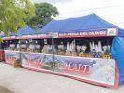 LA FERIA DE LAS COLECTIVIDADES YA EST� EN ROQUE P�REZ