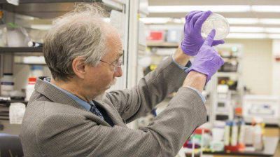 La vida artificial, m�s cerca de ser una realidad