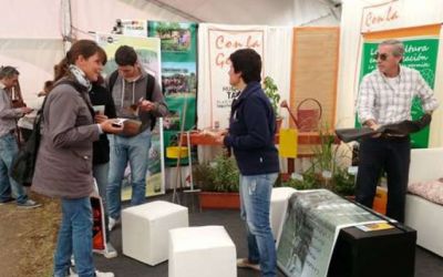 El INTA en la Fiesta Nacional de la Apicultura