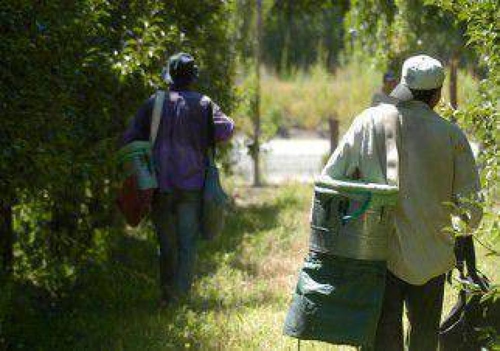 Aseguran que empleados rurales se autolesionan para no ir a trabajar 