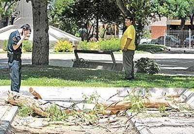 Condenaron a tres ex funcionarios porte�os por la ca�da del �rbol que lesion� gravemente a Zahira