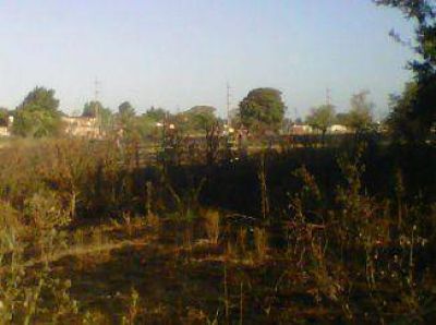 Utilizar�n el Campo del Alem�n como centro de transferencia de ramas