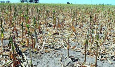 El SO bonaerense, en emergencia y desastre agropecuario
