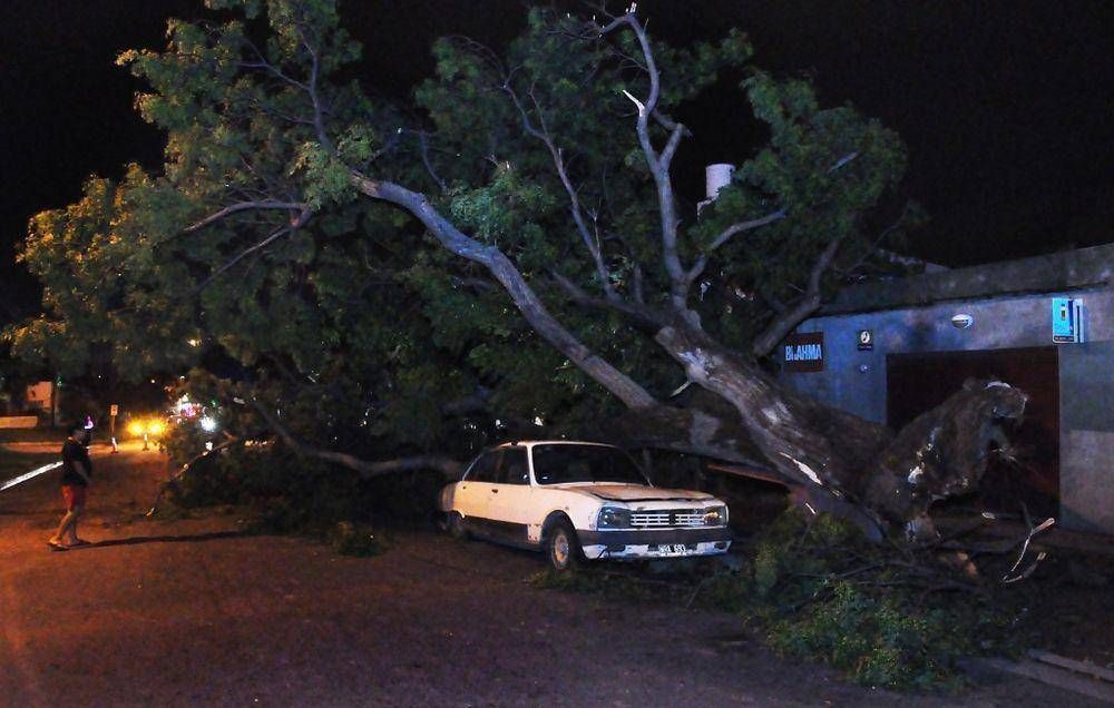 La tormenta provoc� inconvenientes y la ca�da de �rboles y postes