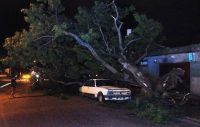 La tormenta provoc� inconvenientes y la ca�da de �rboles y postes