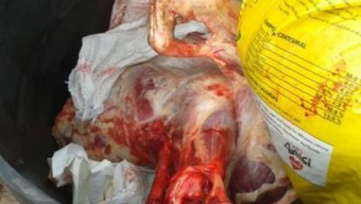 Abigeato: detuvieron a cuatro sujetos en El Alto