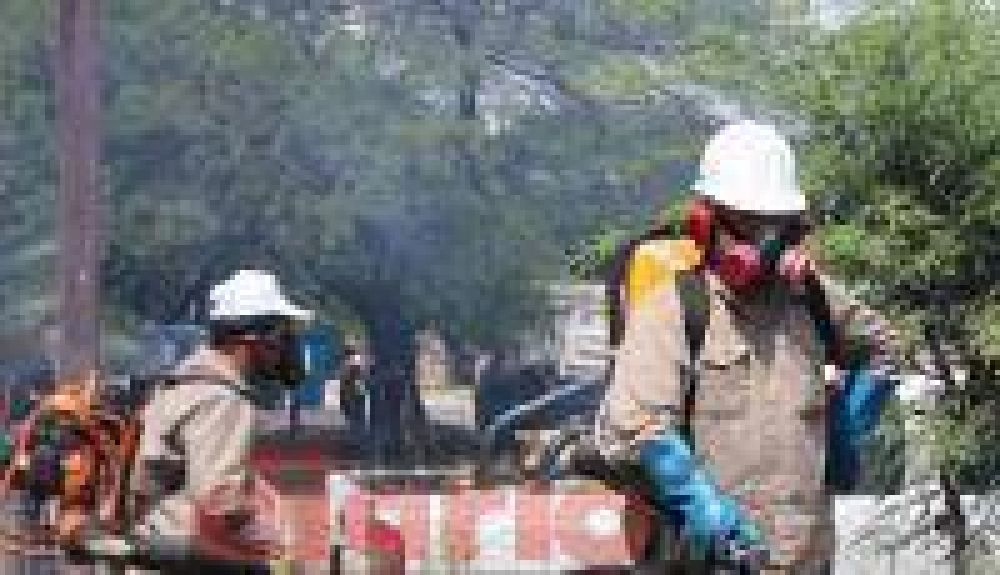 Las tareas preventivas contra el dengue siguen desarroll�ndose