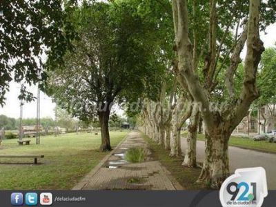 En Adolfo Alsina entregar�n �rboles a instituciones, ONG, y asociaciones