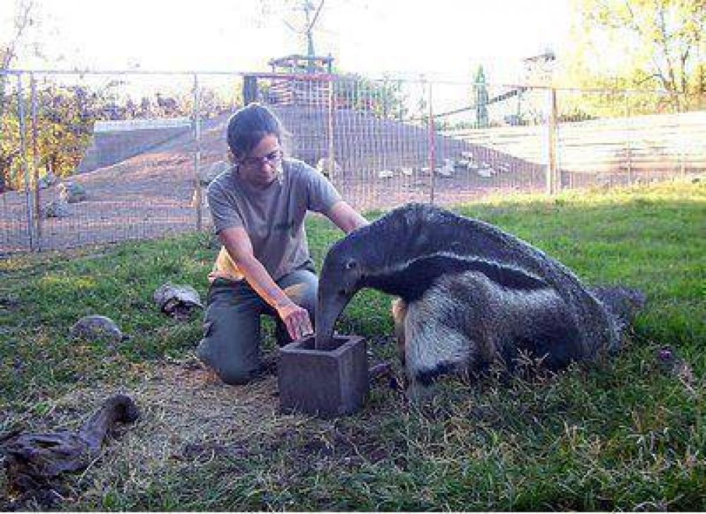 Comenz juicio por muerte de cuidadora en zoo de Varela