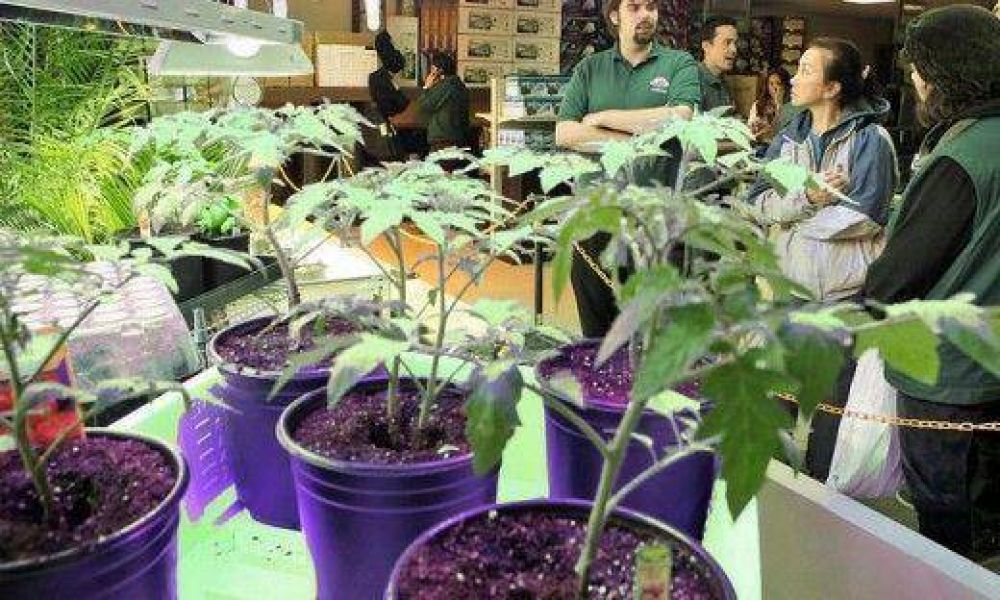 Cordobeses investigar�n la aplicaci�n de cannabis con fines terap�uticos en la UNC