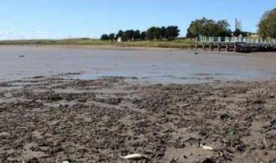 Monte Hermoso: Desapareci� una laguna y el Intendente sospecha de posibles tomas ilegales de agua