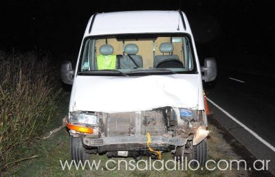 Una camioneta embisti� un ternero