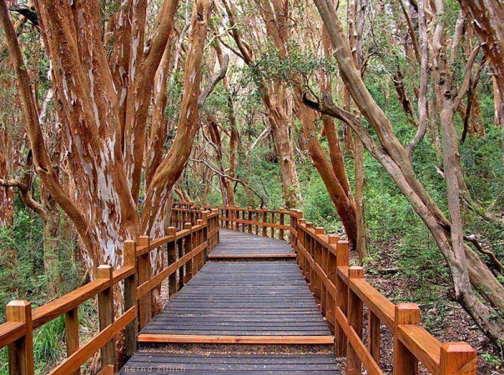 Aument� la tarifa de ingreso al Parque de los Arrayanes