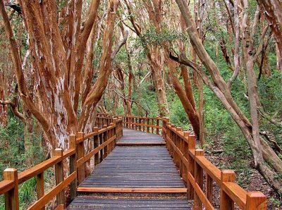 Aument� la tarifa de ingreso al Parque de los Arrayanes