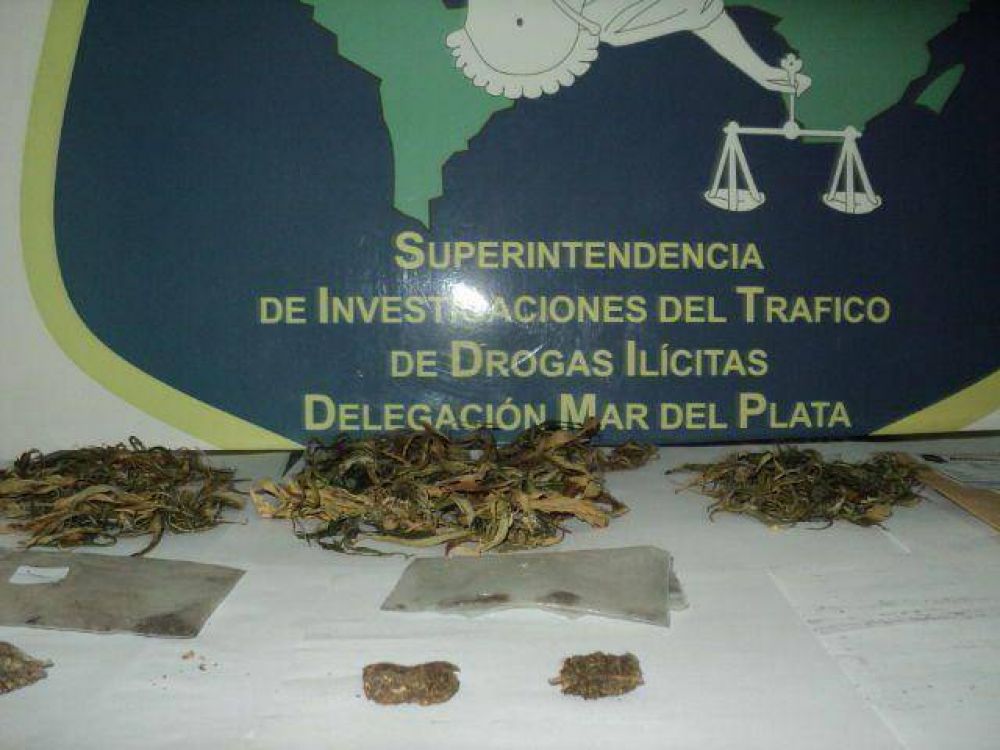 La DDI Mar del Plata detuvo a seis personas con marihuana para comercializar