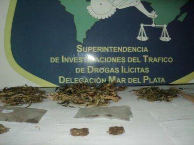 La DDI Mar del Plata detuvo a seis personas con marihuana para comercializar