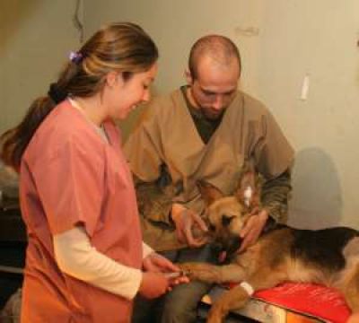 Capital: m�s aparatos para operar el doble de mascotas