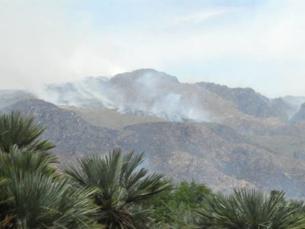 A falta de pruebas, podr�an cerrar la causa del incendio en Merlo