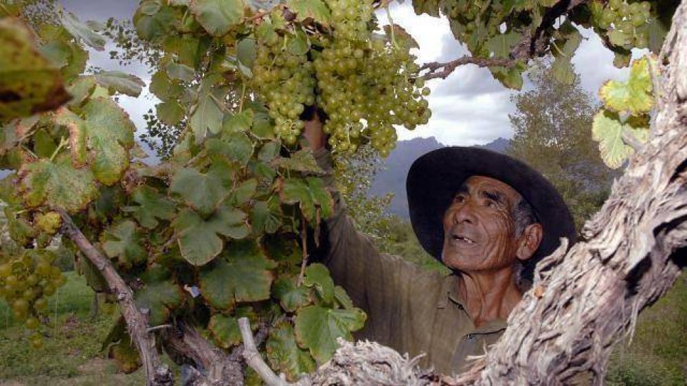 Tierras en Cerrillos y Cafayate superaron el cupo permitido para due�os extranjeros