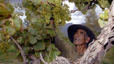Tierras en Cerrillos y Cafayate superaron el cupo permitido para due�os extranjeros