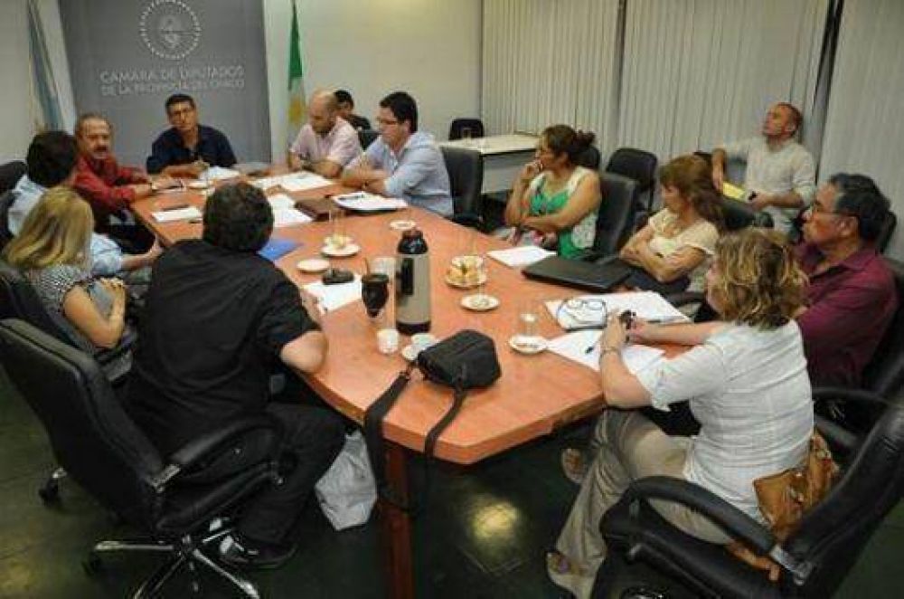 La Comisi�n de Pueblos Ind�genas analiz� junto a Tiji la tala de bosques