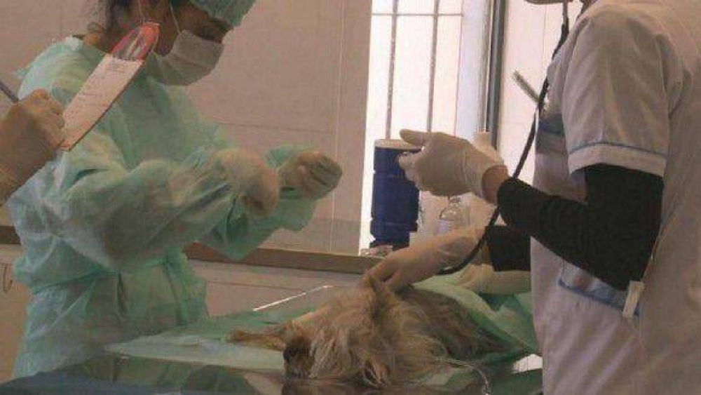 La Facultad de Agronom�a inaugur� el Hospital Escuela de Medicina Veterinaria
