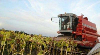 Vencimientos del impuesto rural en manos de diputados