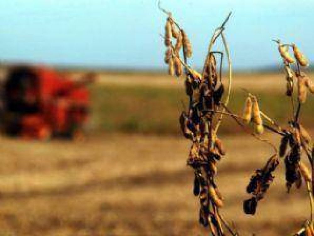 Buscan declarar el estado de emergencia y desastre agropecuario