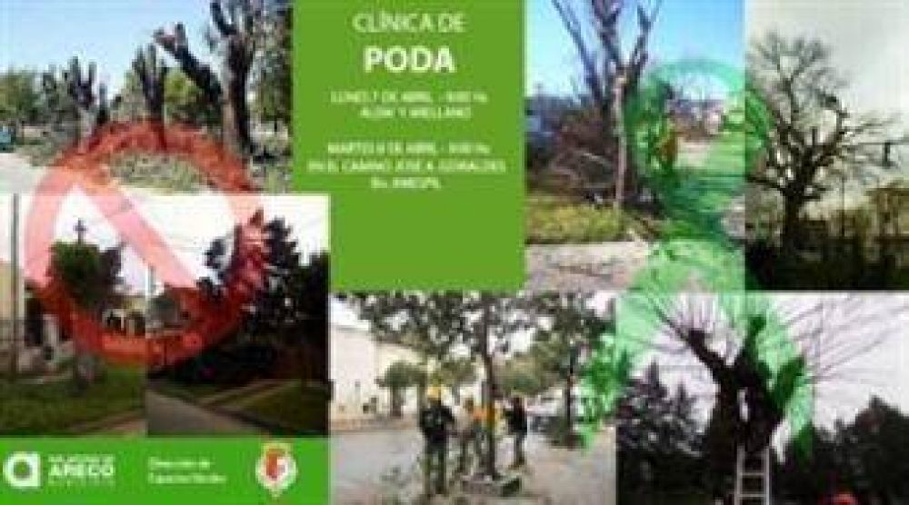Para mejorar la sanidad de los �rboles