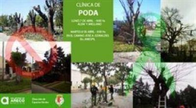 Para mejorar la sanidad de los �rboles