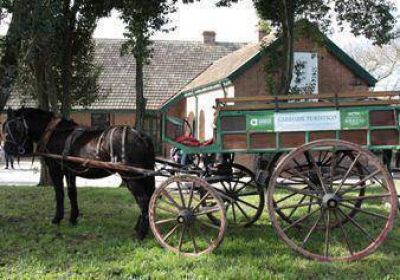 Grilla de actividades para este fin de semana
