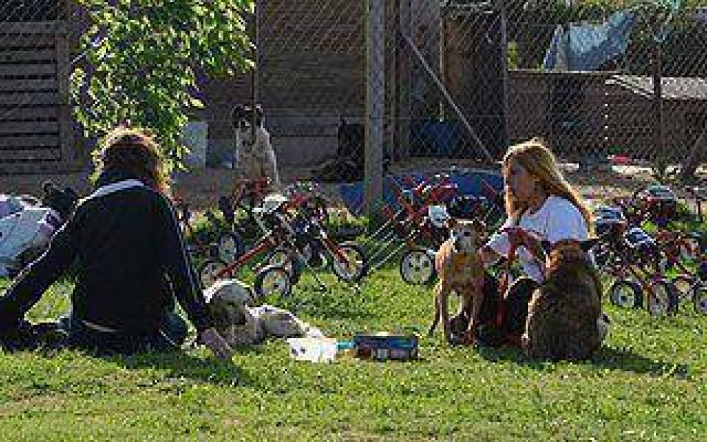 El Campito tendr� su primera colecta solidaria del a�o
