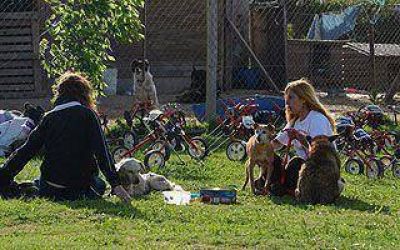 El Campito tendr� su primera colecta solidaria del a�o