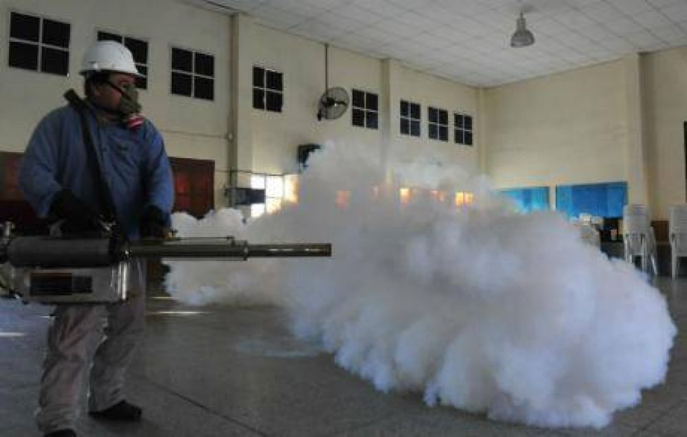 Dengue: el Gobierno pide colaboraci�n para descacharrar