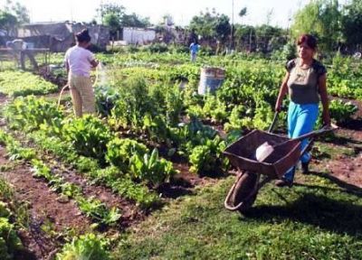 Impulso para registro de agricultores provinciales