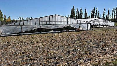 Construir�n nueve invern�culos en zona de chacras