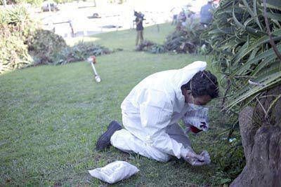 "Se redujo en 80 % el n�mero de roedores en la costa local"