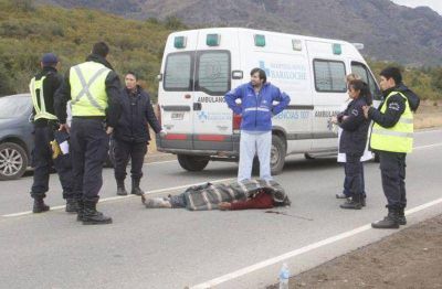 Muri� un hombre atropellado en la ruta de Cirvuncalaci�n