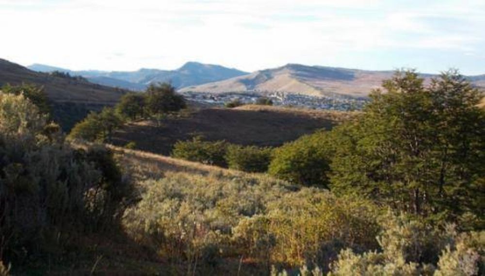 R�o Turbio presentar� proyecto de loteo periurbano ambiental