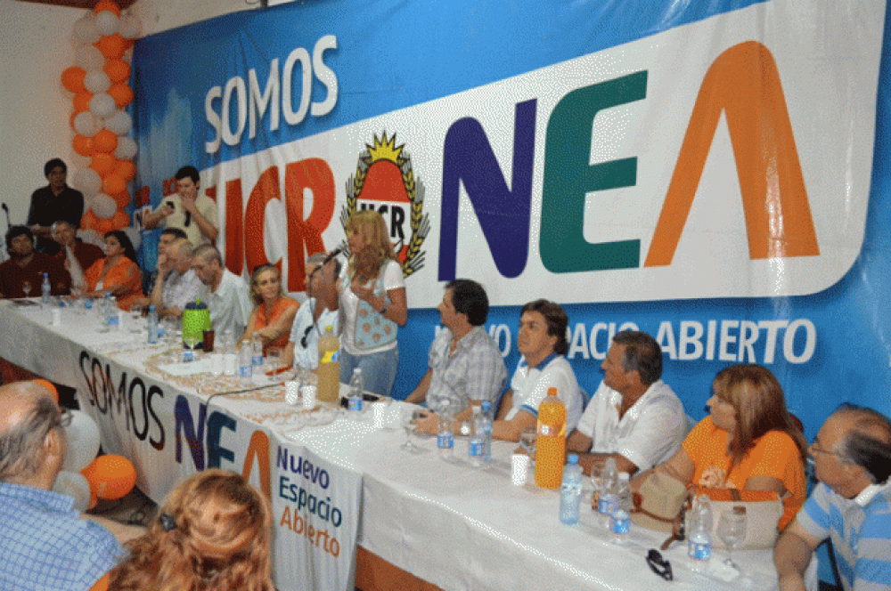El Nuevo Espacio Abierto de la UCR con el objetivo de gobernar el Chaco