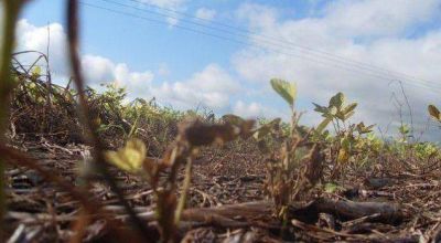 La crisis por la sequ�a reunir� el martes a productores agropecuarios