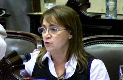 La Diputada Boyadjian exigi� respuestas a Jorge Capitanich