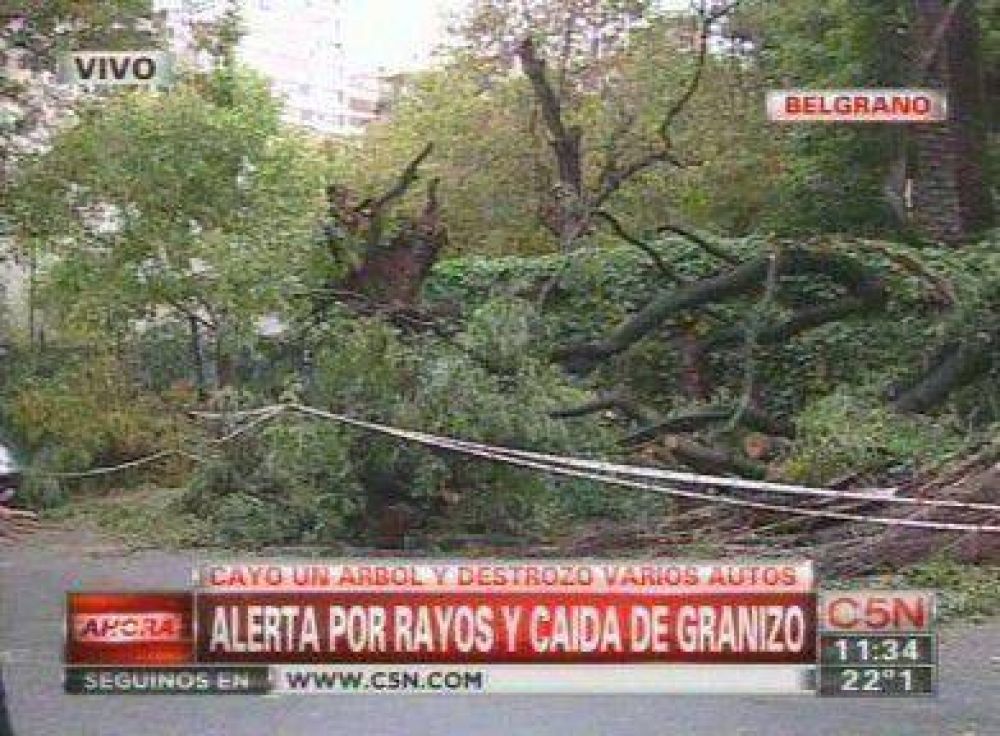 Lluvias: problemas de tr�nsito, �rboles ca�dos y sem�foros sin funcionar