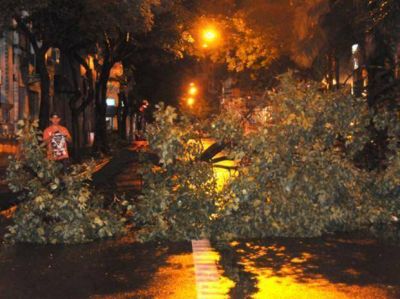 Una fuerte tormenta derrib� al menos cien postes de alumbrado y �rboles