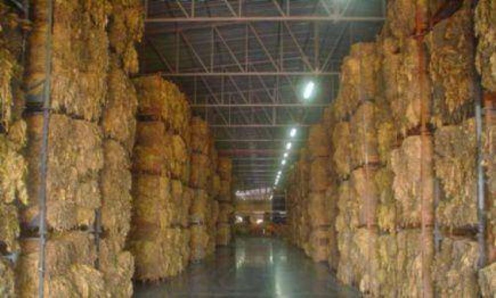Sobrar�n unos 5 millones de kilos de tabaco