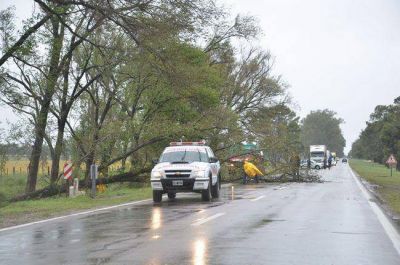 Sigue el alerta por �vientos intensos� y tampoco habr� clases este mi�rcoles