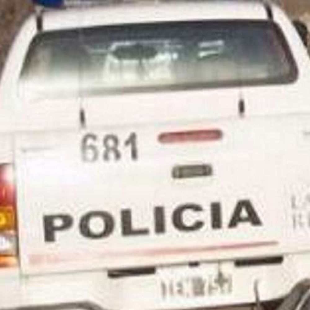Detenidos por disimular entre le�as una vaca, seis cabritos, pollos y patos faenados